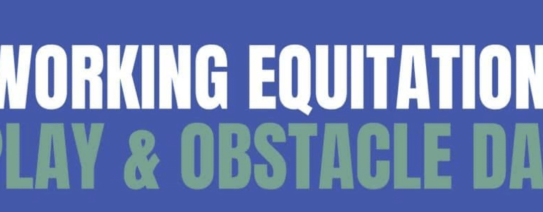 WE Play & Obstacle Day